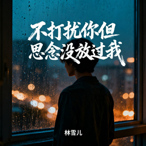 不打扰你但思念没放过我