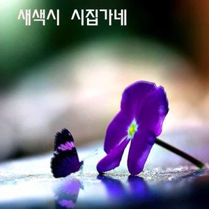 새색시 시집가네