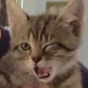 Children Of A Miracle (sped up)