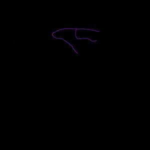 lovely little creature