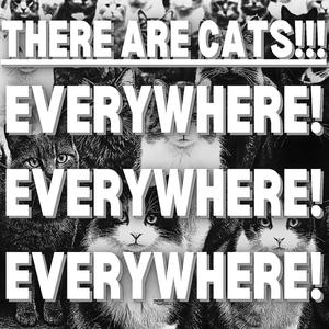 There Are Cats (Everywhere!)