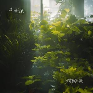 未寄出的时光