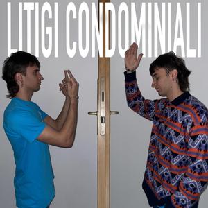 LITIGI CONDOMINIALI