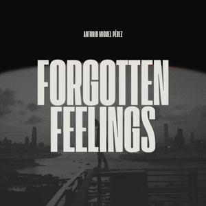 Forgotten Feelings