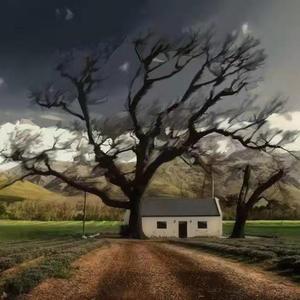 weak-小情歌（王智 remix）