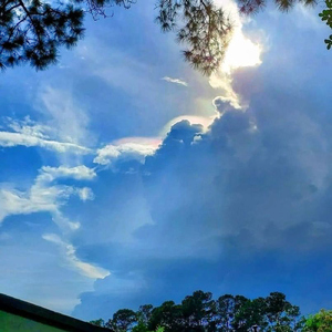 Tail Raiser (feat. Anthemics)