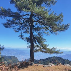 夜晚在我的枕头上沉睡，我却独自无眠，你是否也曾失眠?在万籁俱寂的黑夜，在无声无息中，我们的思绪穿过古 伴奏