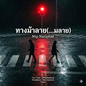 ทางม้าลาย(...มลาย)