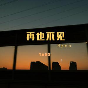 TACE-再也不见(Remix)