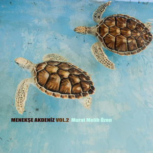 Menekşe Akdeniz Vol.2