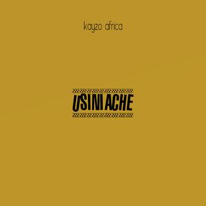 Usiniache
