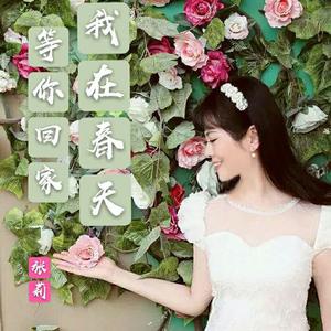 我在春天等你回家