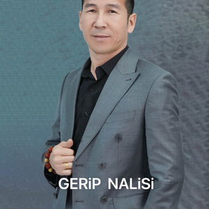 herip nalisi++master