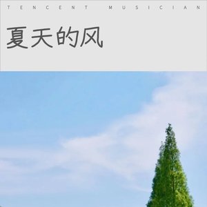 夏天的风