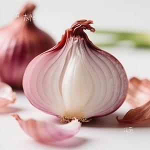 洋葱 (Cover 杨宗纬)