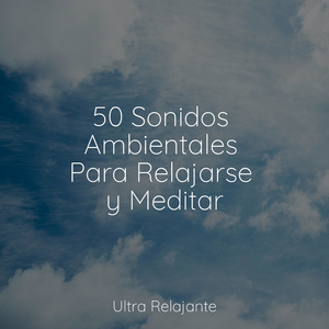 Bienaventurada Armonía