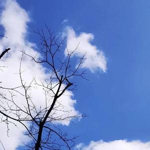 想念是会呼吸的痛