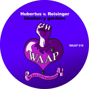Blueberry Gardens (Weisses Licht Remix)