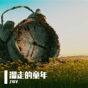 溜走的童年