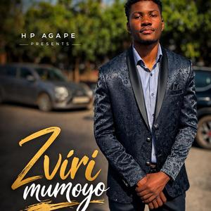 Zviri Mumoyo