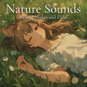 眠りの浅い貴方のための快眠音楽 1分で眠れるヒーリングギター (自律神経を整える睡眠用 森 鳥)