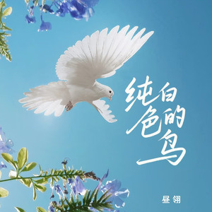 纯白色的鸟