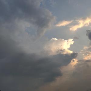 给汪小姐（demo）