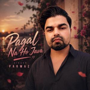Pagal Na Ho Java