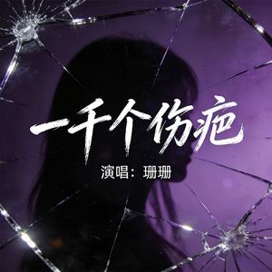 一千个伤疤-珊珊