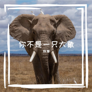 你不是一只大象