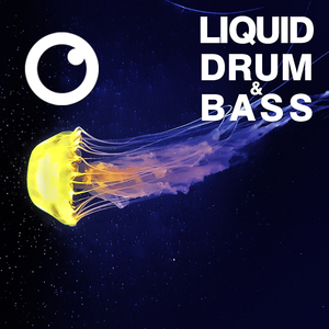 Liquid Drum & Bass Sessions 2020 Vol 28