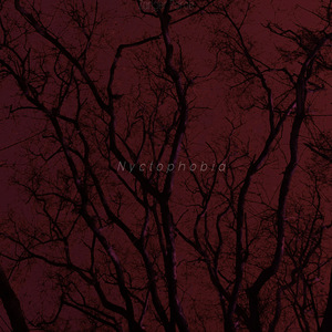Nyctophobia