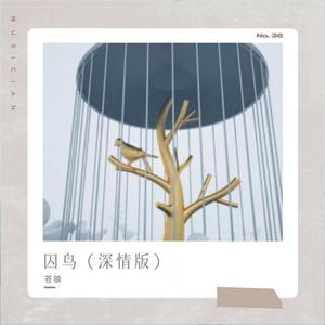 囚鸟 (深情版)