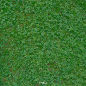 잊혀지지 않는 기억