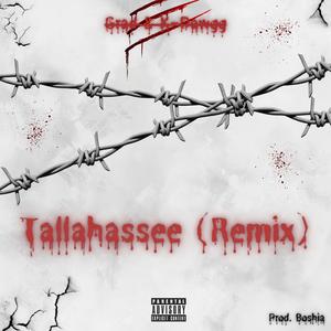 Tallahassee (feat. K-Dawgg) (Remix)