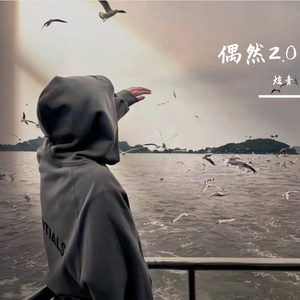 偶然（ 孟琦 炫青 杜佳阳 remix）