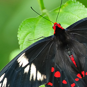 也许人终究是孤独的
