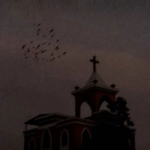 暴雨里的向日葵