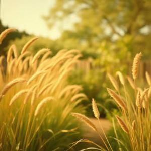 แค่เธออยู่ตรงนี้