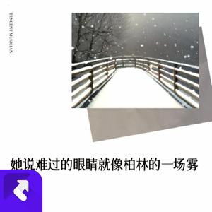 他说难过的眼睛像柏林的一场雾