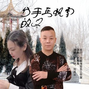 分手在飘雪的冬