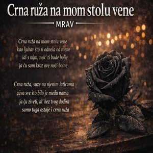 Crna ruža na mom stolu vene
