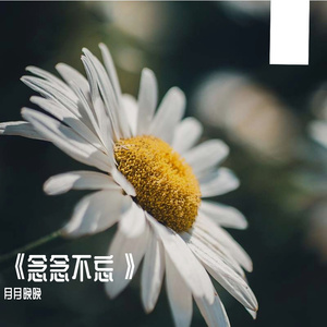 《念念不忘》