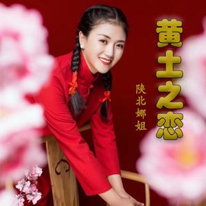 黄土之恋 (DJ版)