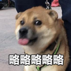 BLOO-Free girl（肥狗）（略略略的肥狗 remix）