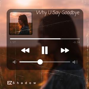 Why You Say Goodbye