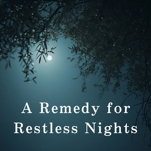 A Dreamer's Gentle Journey