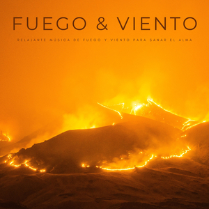 El Pulso Del Fuego