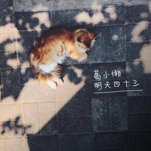 葛小懒明天四十三