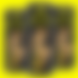 I Am Trim (Original Mix)